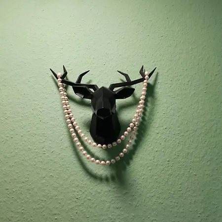 Apartment Landliebe Nummer 10